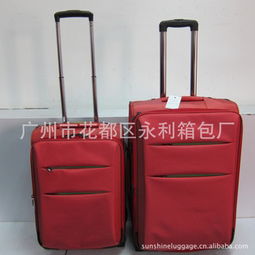 廣州市花都區(qū)永利箱包廠 網絡科技領域內的技術開發(fā)探索