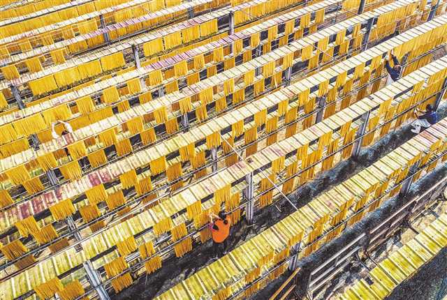 百年粉條與現代科技融合 配套項目建設與技術開發(fā)的雙輪驅動