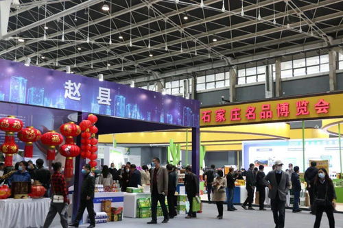 鑫慶余·石家莊名品博覽會 三千精品薈萃，共繪產業新圖景
